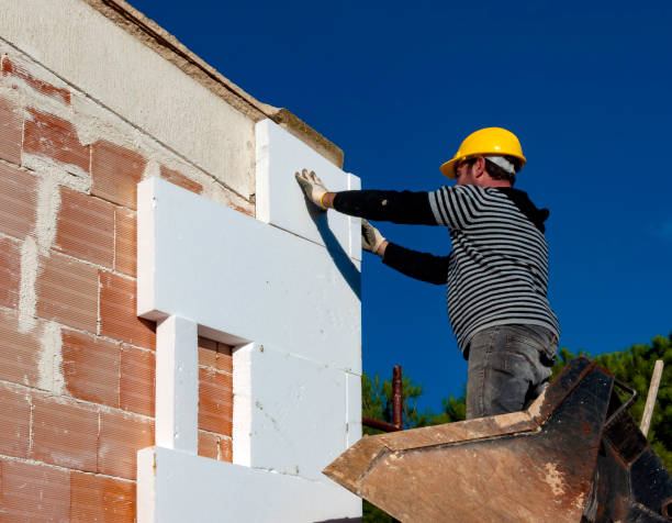 Best Fiberglass Insulation  in Hackberry, TX