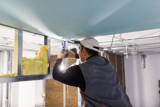 Best Insulation Inspection Services  in Hackberry, TX