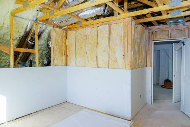 Best Affordable Insulation Services  in Hackberry, TX